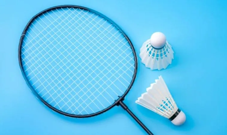 Bí Kíp Đỉnh Cao Về Cách Chơi Cá Cược Cầu Lông Tại Bet66 1 Cầu Lông Tại Bet66