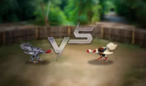 Đá Gà 3D Tại Bet66