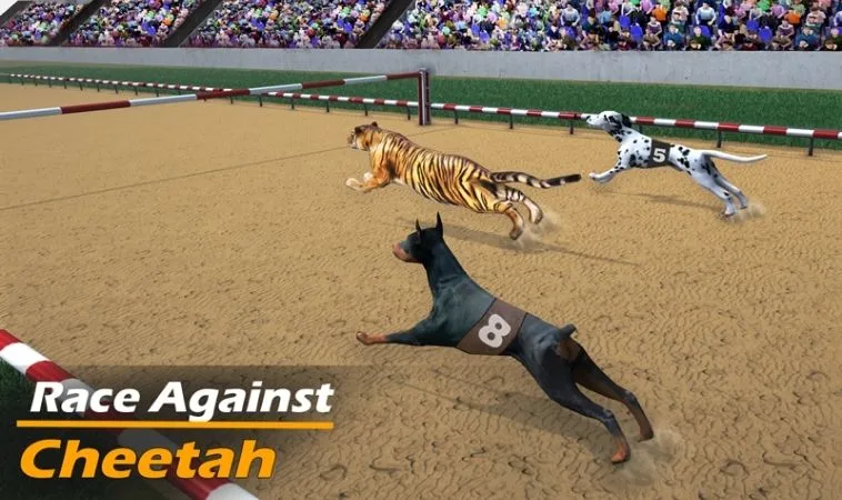 Tuyệt Chiêu Cách Chơi Game Nhanh Đua Chó Tại Bet66 Thắng Cực Đậm 2 Cách chơi game nhanh Đua Chó Tại Bet66