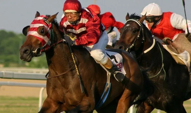 Bí Quyết Vàng Tìm Hiểu Cá Cược Đua Ngựa Bet66 Cho Người Mới Bắt Đầu 1 Đua Ngựa Bet66